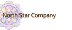 North Star Company